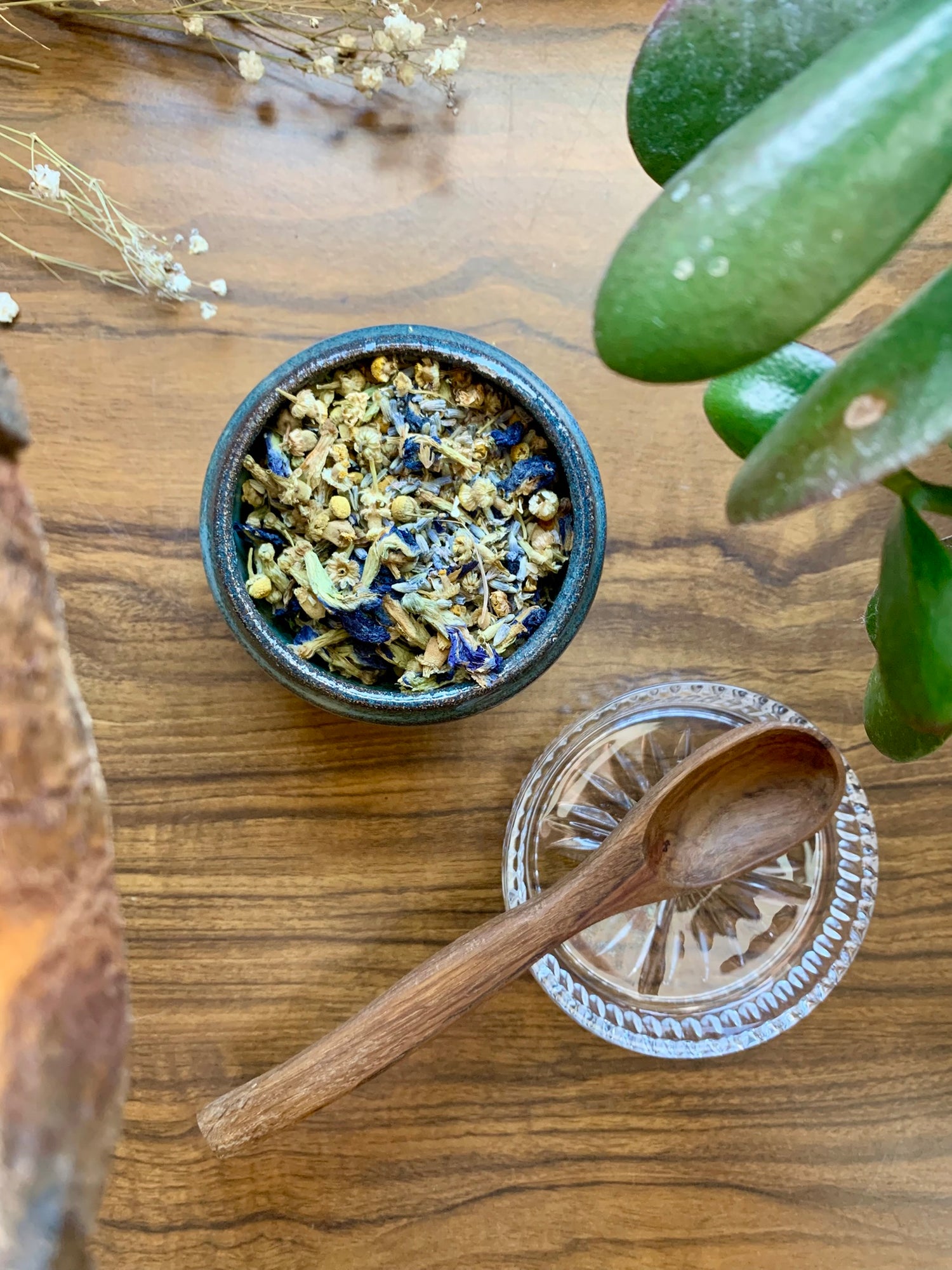 framed image of the daydream sun tea leaves daily grace provisions